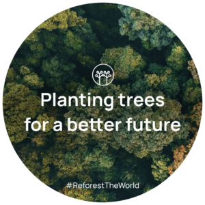 planting trees kidsvibes forest